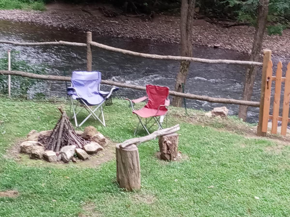 Tranquil Creekside Mountain View Getaway